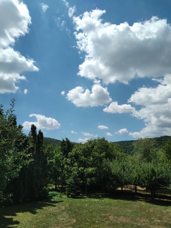 Vila Zvoncica Vrdnik Exterior foto